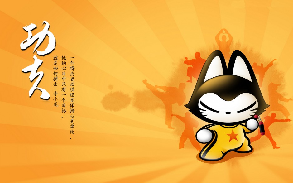 可爱的拽猫卖萌图片