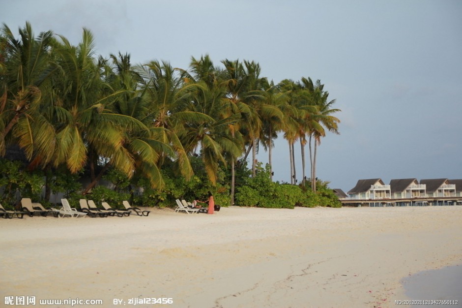 旅游胜地之马尔代夫椰林高清壁纸