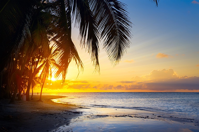 好看唯美的海边椰林风景图片