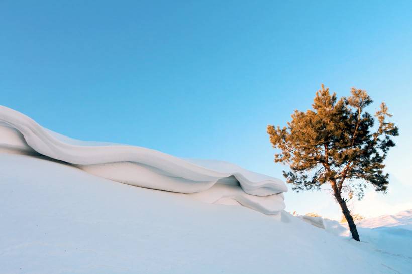 冬日雪景壁纸洁白迷人