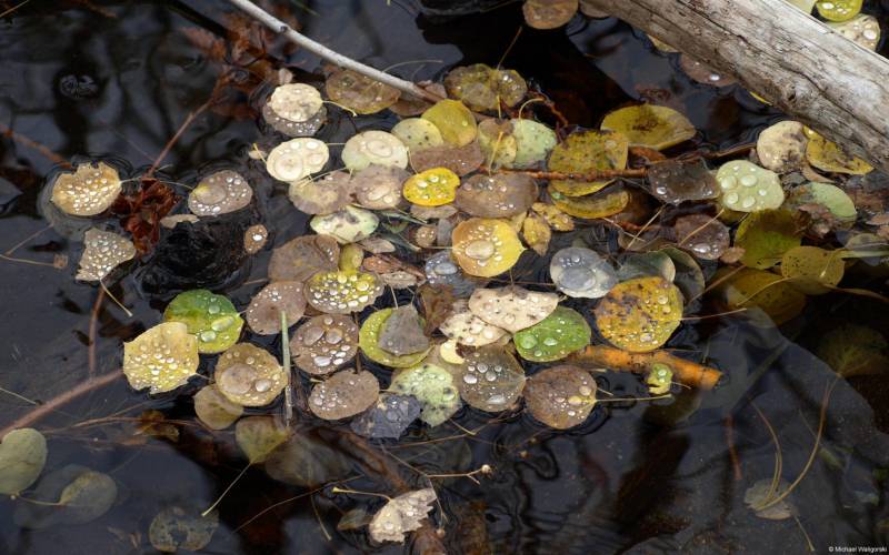 水系列高清风景壁纸欣赏