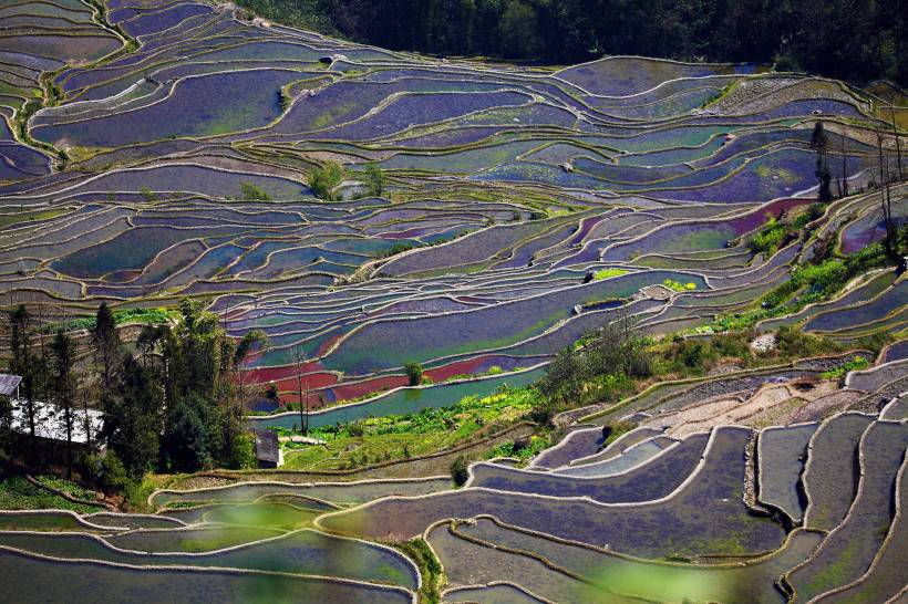 云南元阳梯田风景高清图片