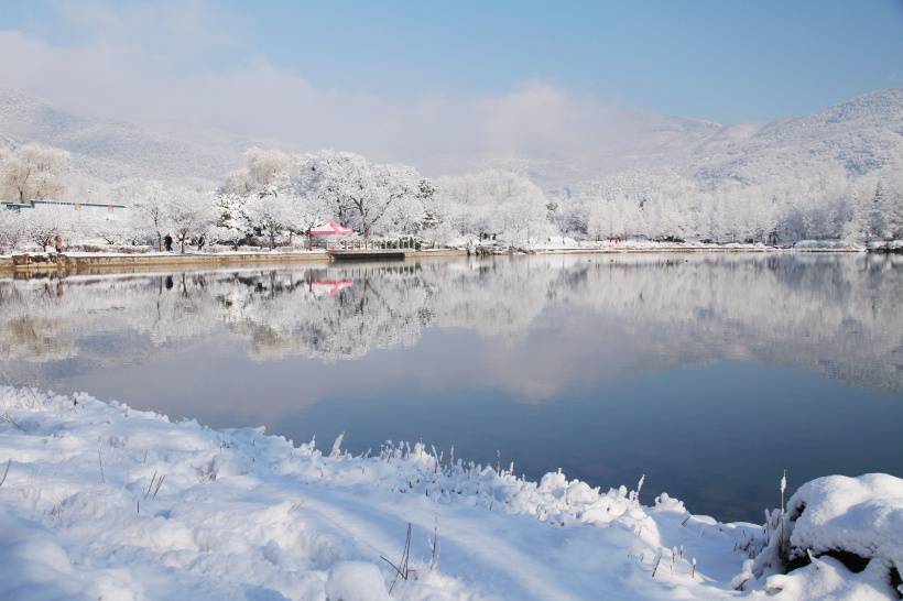 北京植物园雪景唯美摄影