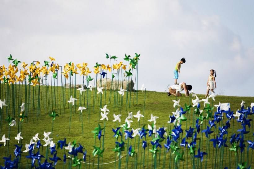 高清风车丛玩耍图片
