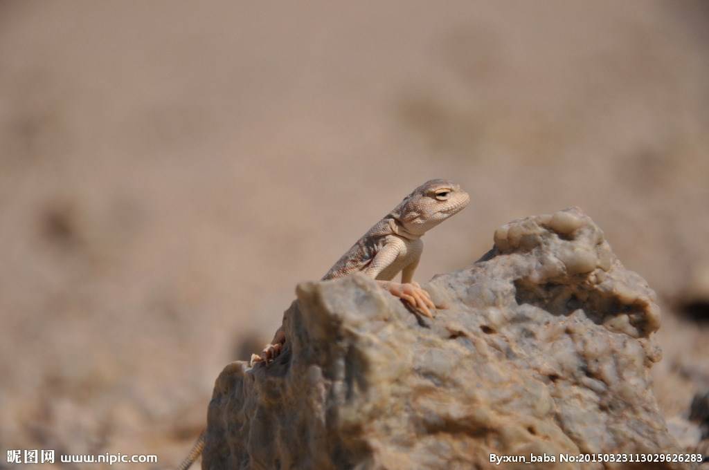 唯美高清戈壁风景图片