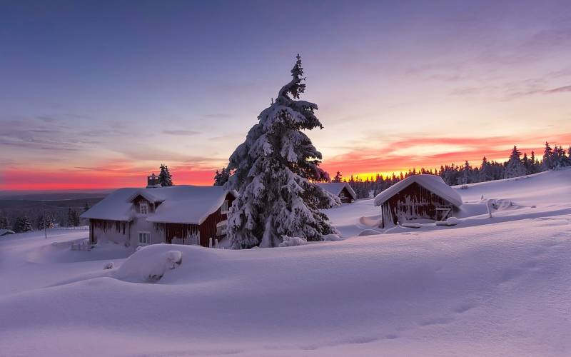 冬季唯美自然森林草原雪白美景高清图