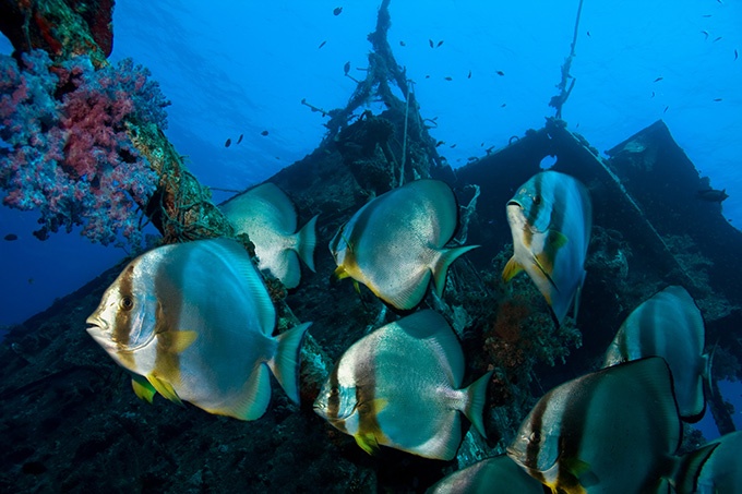 超清海底世界风景图片欣赏