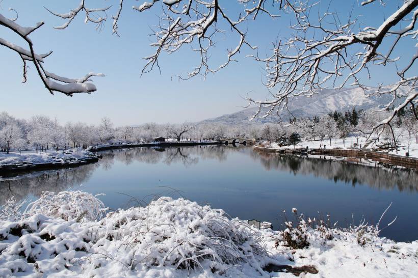 北京植物园雪景唯美摄影