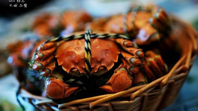 巴城品蟹高清美食图片