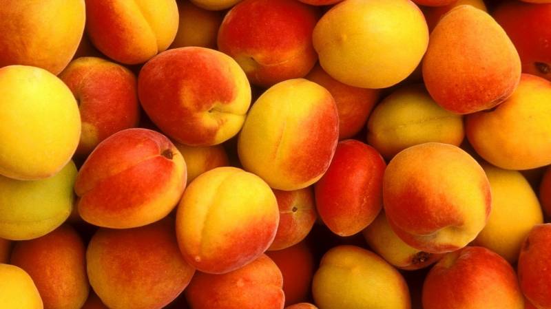 夏日清凉缤纷水果图片大全