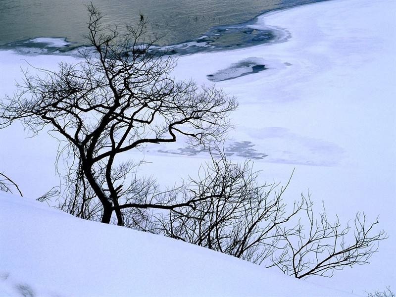 冬季郊区山雪美景图片