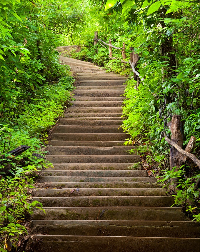 公园林间小路风景摄影图片