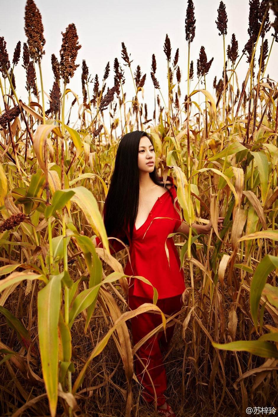 性感女神苏梓玲丰乳人体照欣赏