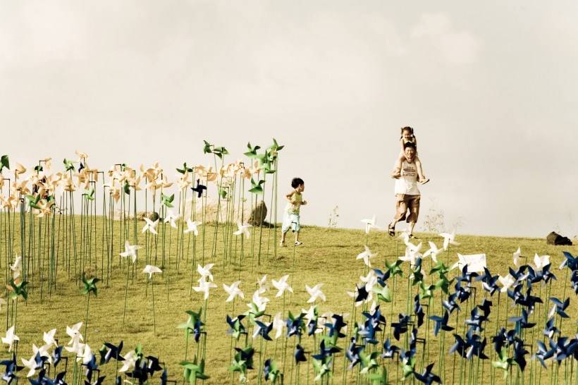 高清纸风车丛嬉戏图片