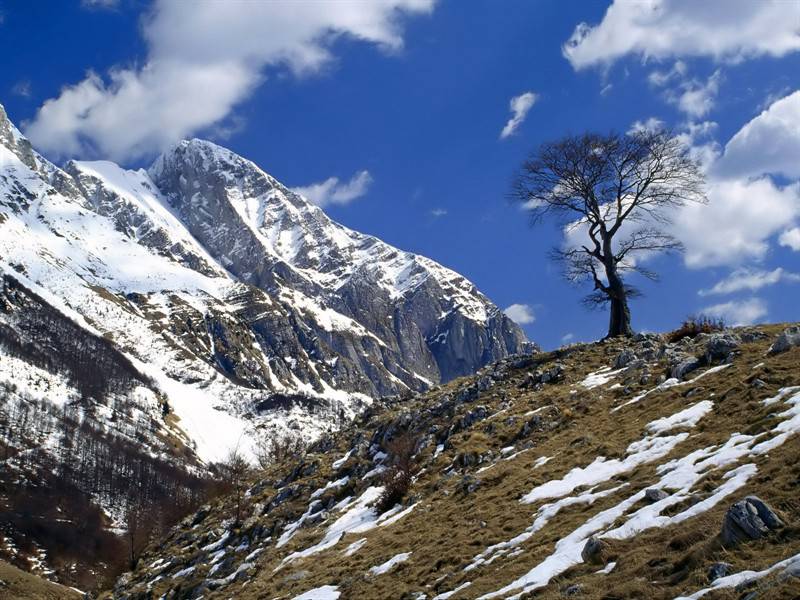 高山厚雪白色唯美景观