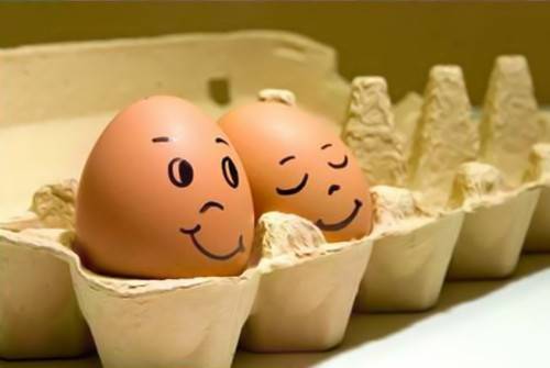 表情各异的鸡蛋萌图欣赏