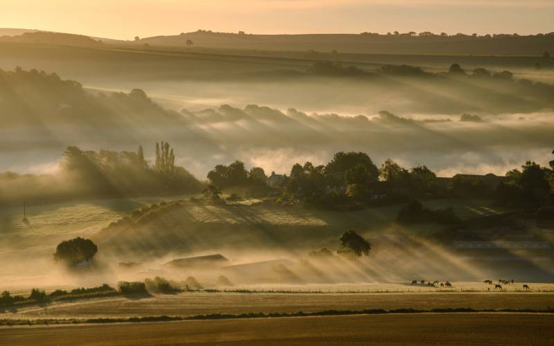 晨曦中的薄雾朦胧唯美自然风景壁纸
