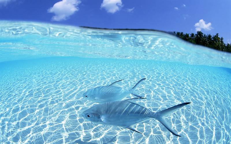 海滨蓝天碧海唯美风景图片