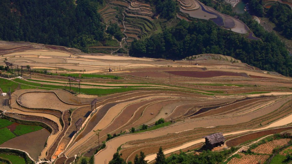 多彩的田园风光梯田美景