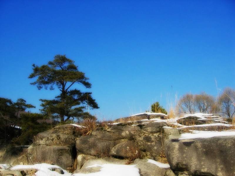 迷人的乡村田野高清风景壁纸