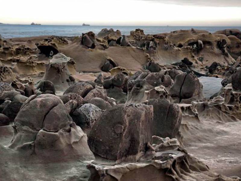 好看的和平岛滨海公园风景图片