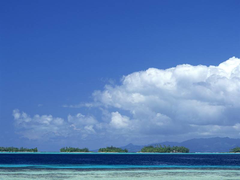 沙滩椰林海滨唯美风景图片