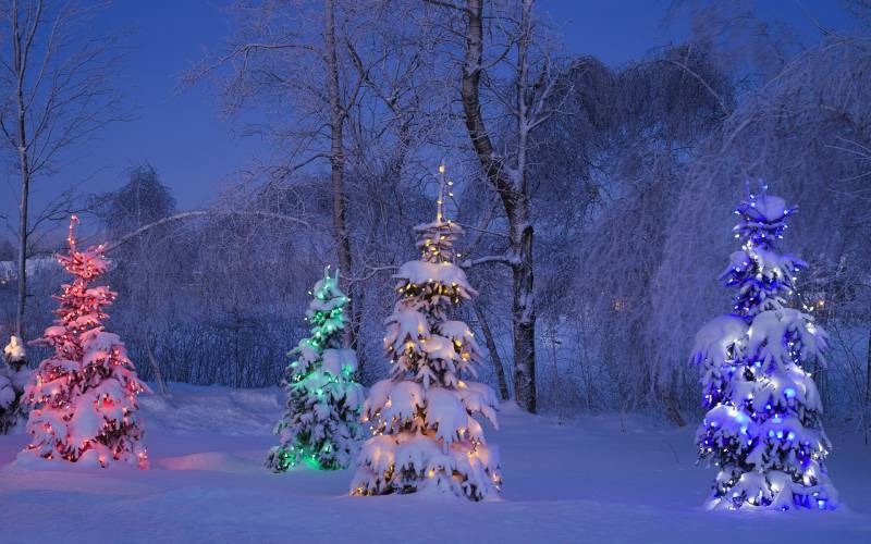 雪中城市夜景高清风景壁纸