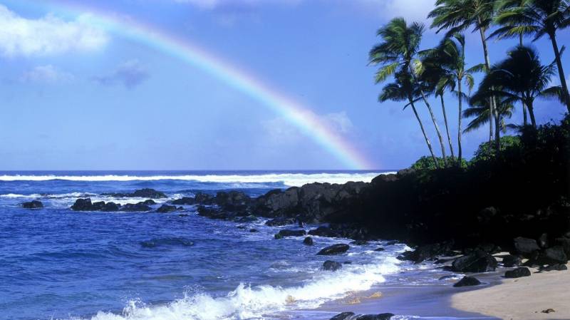 迷人的夏威夷海滩组图