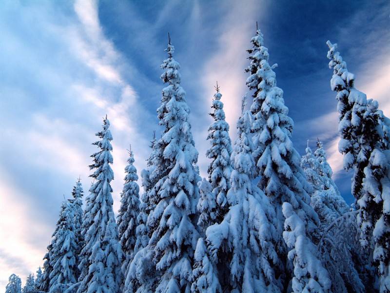 在白雪覆盖下的高山雪景图片