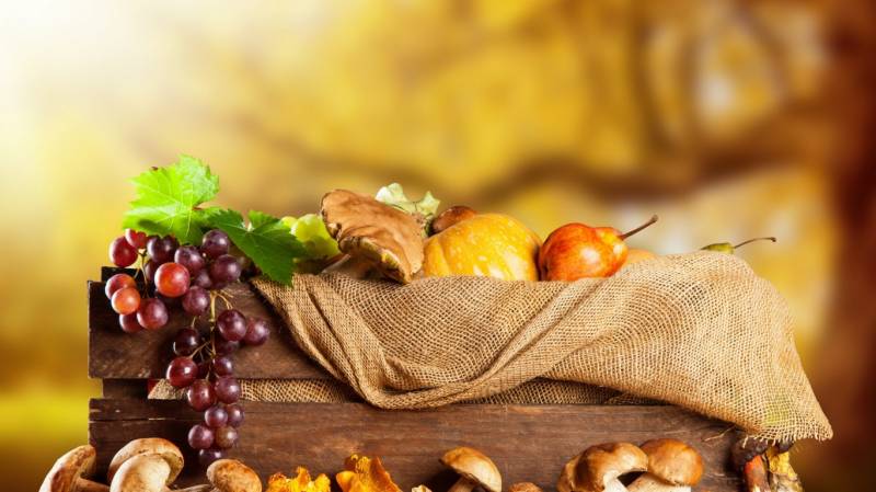 初秋时分丰收的蔬菜水果高清图片欣赏