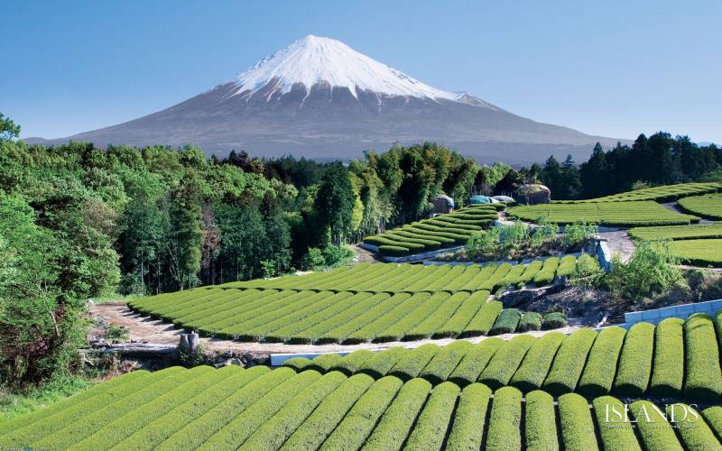 日本富士山下的唯美风景高清壁纸
