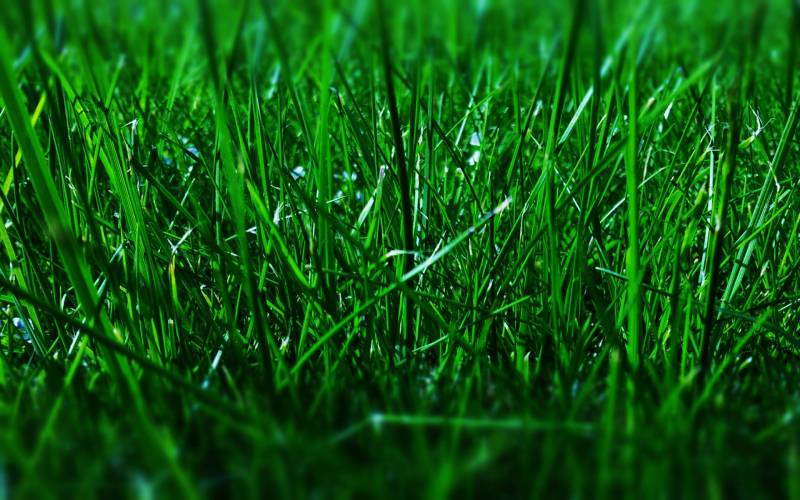 非主流精美风景壁纸赏析