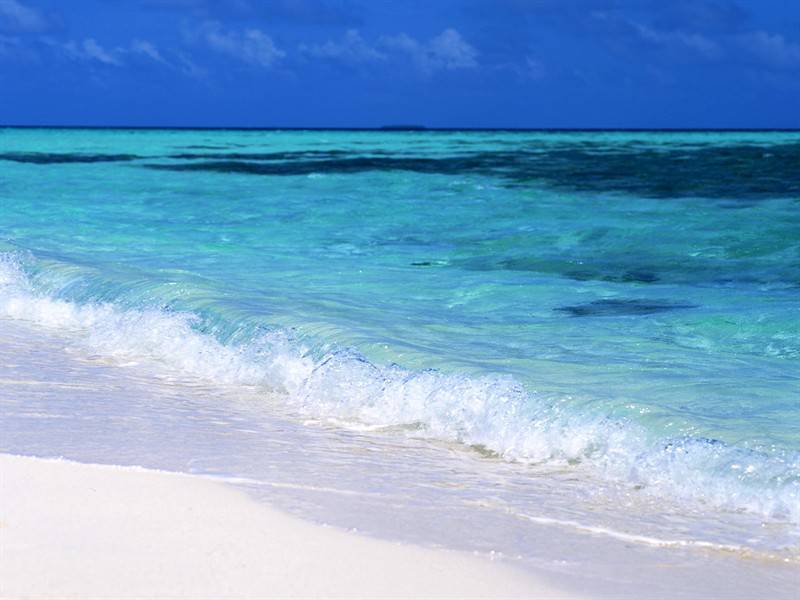 沙滩椰林唯美海景图片