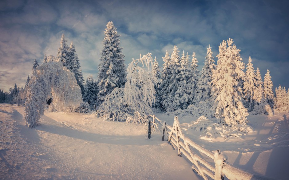 雪中美景唯美壁纸高清组图