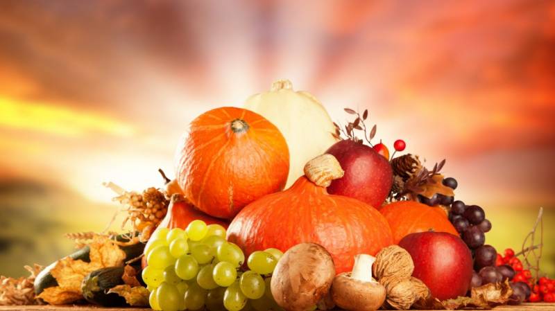 初秋时分丰收的蔬菜水果高清图片欣赏