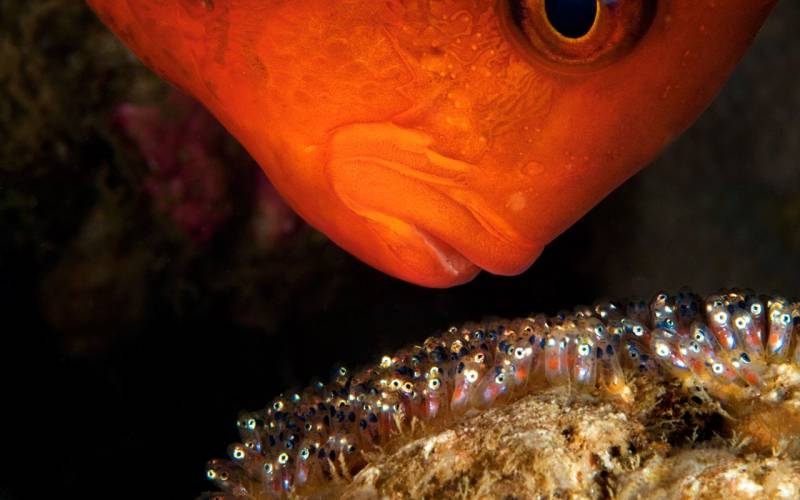 神奇的大自然风光高清图片