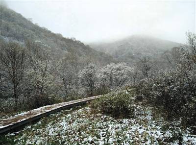 北京郊区飘雪 立夏后积雪达2至3厘米