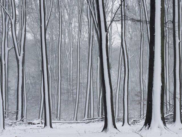 雪景风光