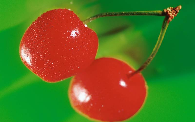 美味可口的樱桃水果唯美图片