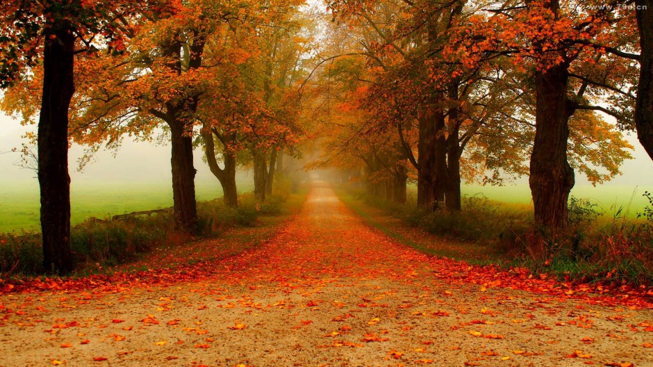 大自然秋天风景图片唯美浪漫