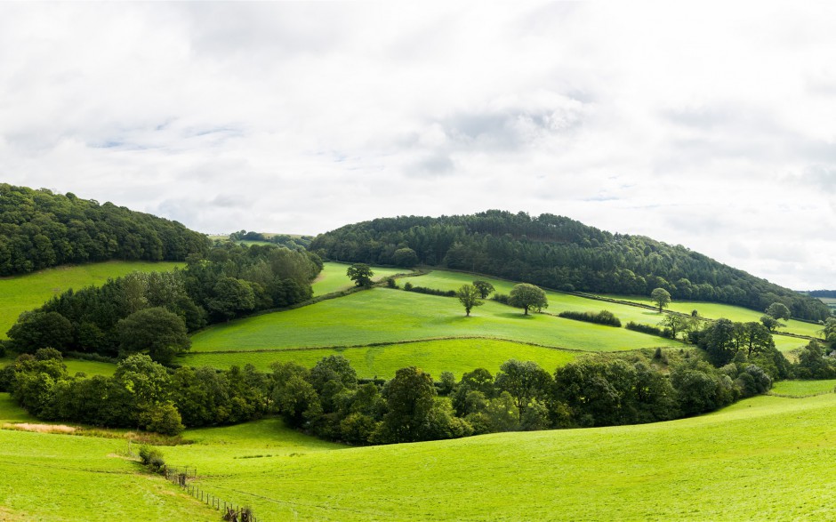 大草原绿色小清新优美风景桌面壁纸
