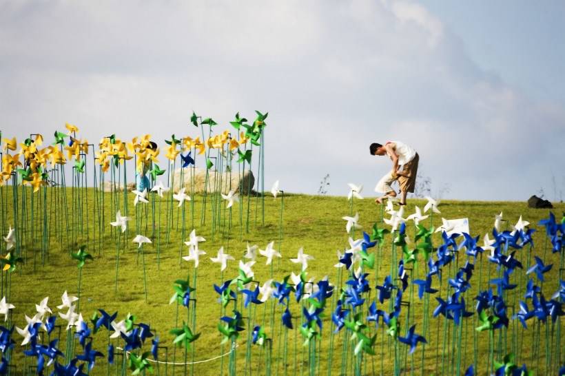 高清风车丛玩耍图片
