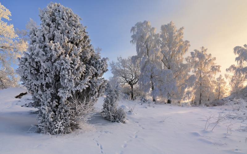 瑞典冬日雪景高清电脑壁纸