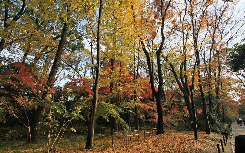 日本贺茂御祖神社景点迷人秋景高清图集