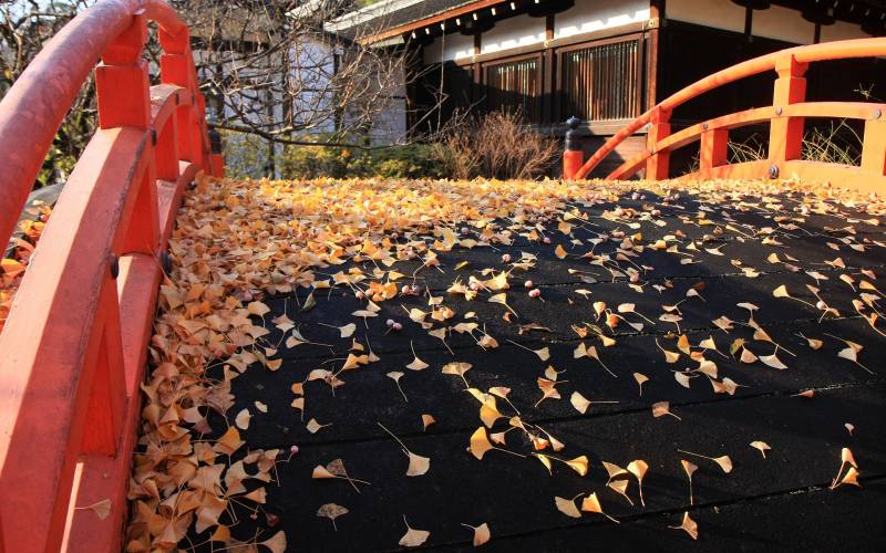 日本贺茂御祖神社景点迷人秋景高清图集