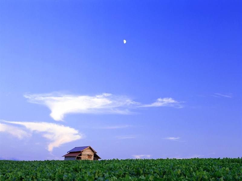 蓝天白云青葱平原养眼美景