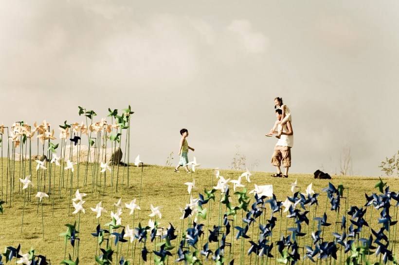 高清纸风车丛嬉戏图片