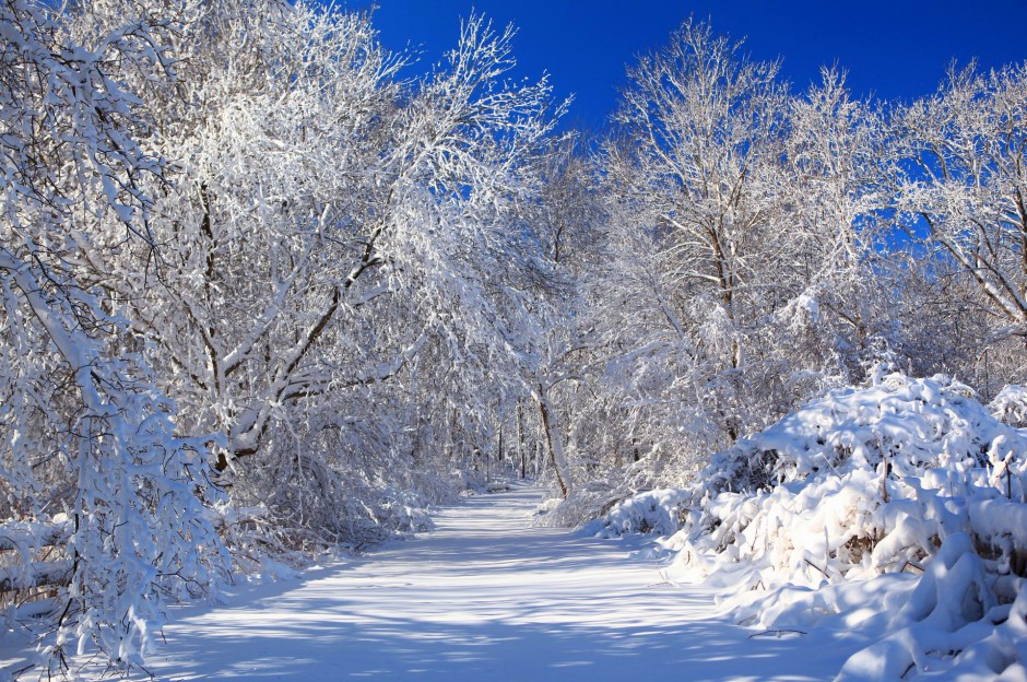 乡村林间冰雪覆盖的道路唯美图片