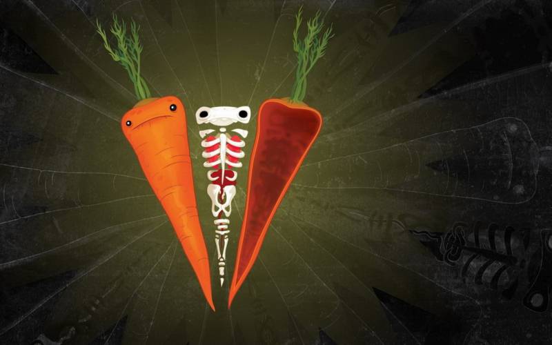 营养蔬菜胡萝卜唯美高清图片欣赏