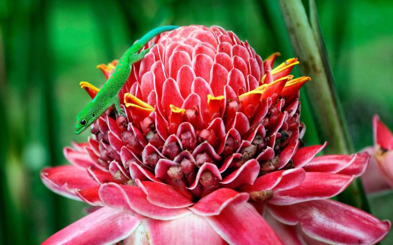 唯美沿途的风景壁纸赏析